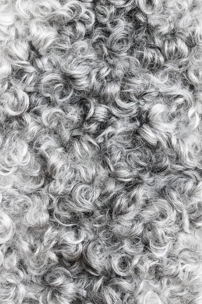 회색 양모 배경 — 스톡 사진