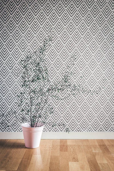 Pembe bir seramik tencerede Corokia bitki — Stok fotoğraf