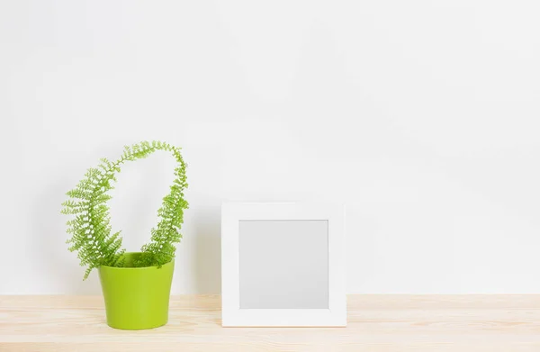 White picture frame and fern in green pot — Stock Photo, Image