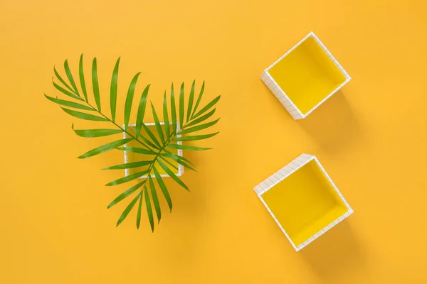 Hojas de palma y cajas decorativas sobre fondo amarillo — Foto de Stock