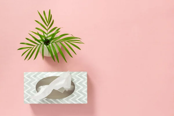 Caja de tejido y hojas de palma sobre fondo rosa —  Fotos de Stock