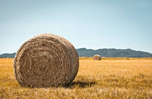 Paisagem rural com fardos de feno — Fotografia de Stock