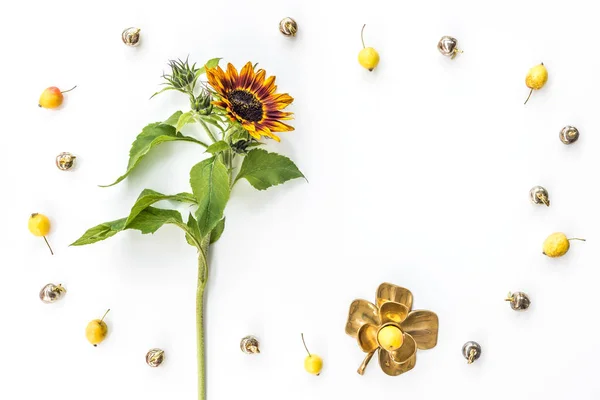 Marco de girasol y manzanas sobre fondo blanco — Foto de Stock