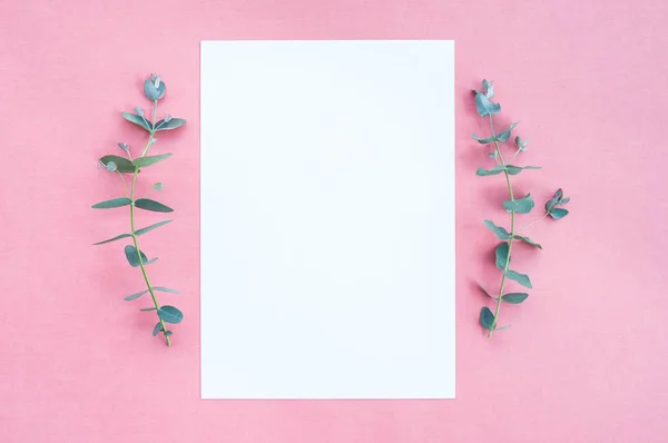 Blanco papier en eucalyptus op roze canvas — Stockfoto