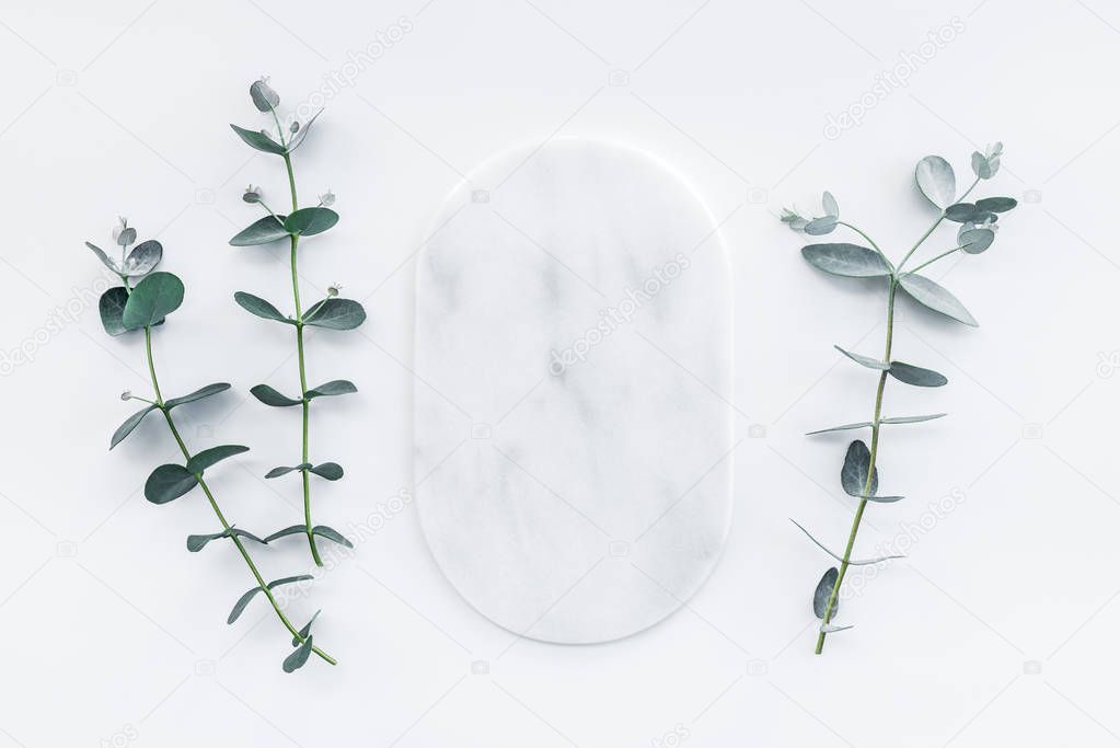 Marble plate and fresh eucalyptus branches