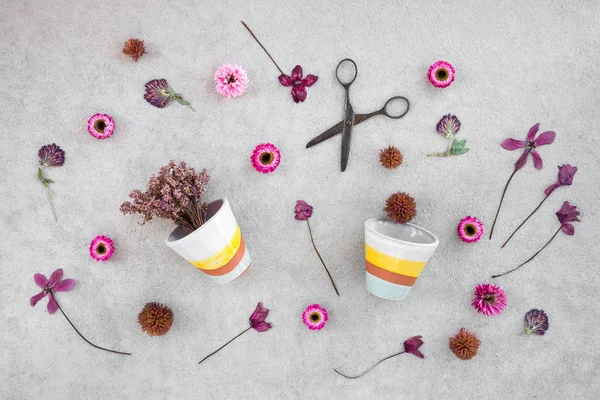 Fiori rosa e vasi da fiori su sfondo di cemento — Foto Stock