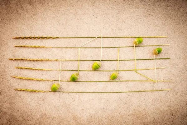 Music notes made of acorns and grass on retro background — Stock Photo, Image