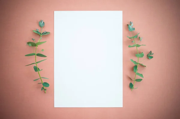 Papel em branco e eucalipto sobre tela colorida de pau-rosa — Fotografia de Stock