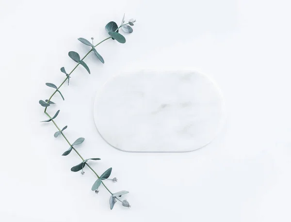 Rami di eucalipto e lastra di marmo bianco — Foto Stock