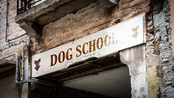 Assine Wall Dog School — Fotografia de Stock