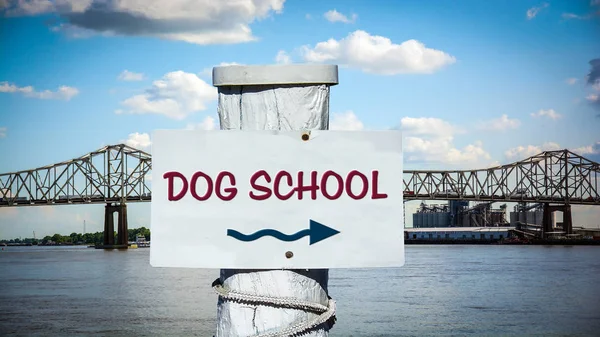 Köpek Okula Sokak Tabelası — Stok fotoğraf