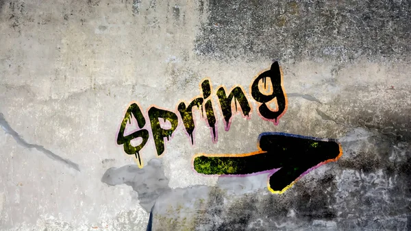 Graffiti de pared a primavera —  Fotos de Stock