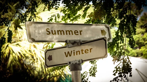 Yaz karşı kış için sokak Işareti — Stok fotoğraf