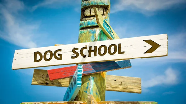Ulica znak do szkoły pies — Zdjęcie stockowe