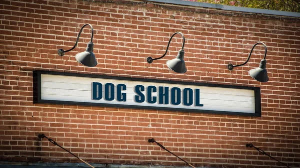 Segnale stradale a scuola di cane — Foto Stock