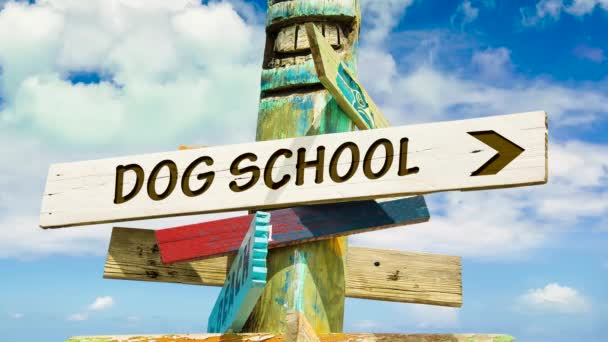 Straat Teken Weg Naar Hond School — Stockvideo