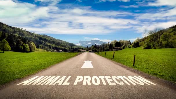 Street Sign Way Animal Protection — Stock video