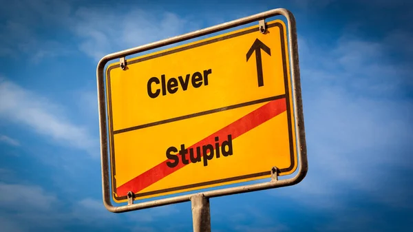 ストリートサイン賢い対愚か者への方向への道 — ストック写真