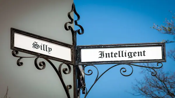 Straßenschild Weist Den Weg Intelligent Albern — Stockfoto