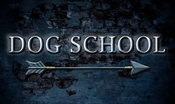 Rua Assine Caminho Direção Para Dog School — Fotografia de Stock