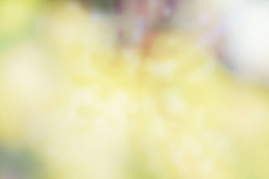 Yumuşak renkli ışıklar arka plan. Bulanık renkli arka plan ile ufuk ışık.