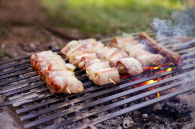 Sıcak Barbekü doğada