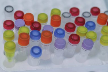 Reaktifler arka plan üzerinde oturan laboratuvar hamster