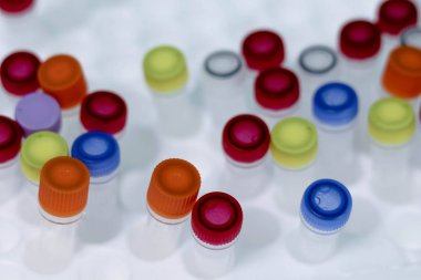 Tüpleri ile gerçek zamanlı Pcr için gerekli malzemeler