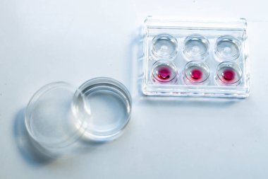 Equipment in THE laboratory of IVF in vitro fertilization clinic.  Plate with a spilled solution for freezing the embryo in the IVF laboratory clipart