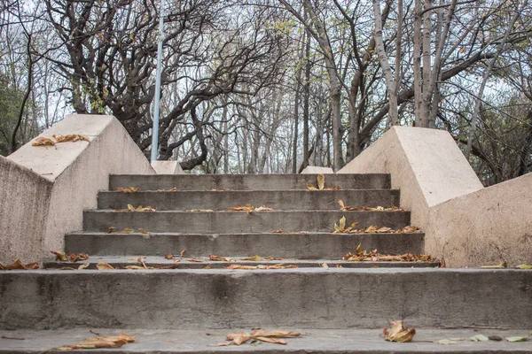 Kışın eski ahşap ev