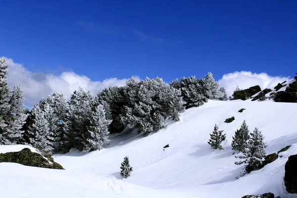 冬季山景 针叶树覆盖着雪花 蔚蓝多云的天空 — 图库照片