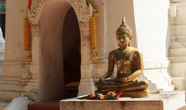 Buddha Patsas Temppelissä — kuvapankkivalokuva