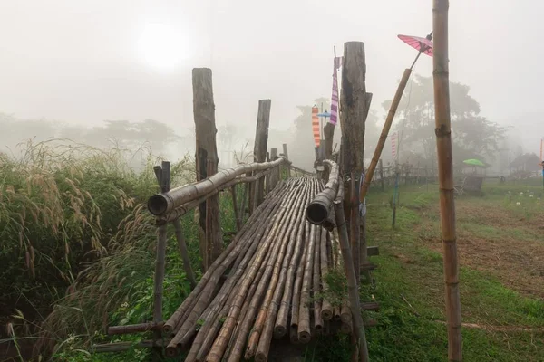 Köprü Bambu Yapılmış — Stok fotoğraf