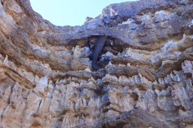 Cliff üzerinde petek