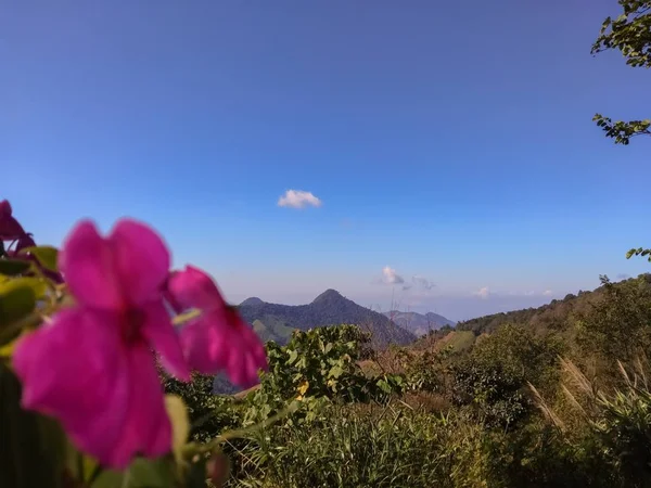 Lindas Montanhas Céus Azuis — Fotografia de Stock