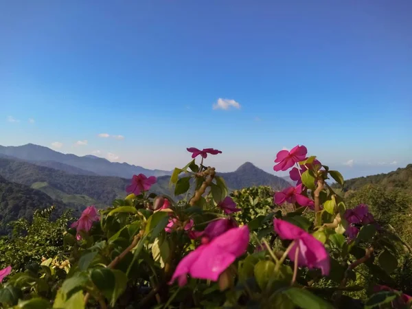 Hermosas Montañas Cielos Azules — Foto de Stock