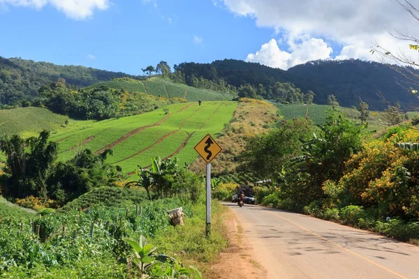 Panneaux Signalisation Sur Route Montagne — Photo