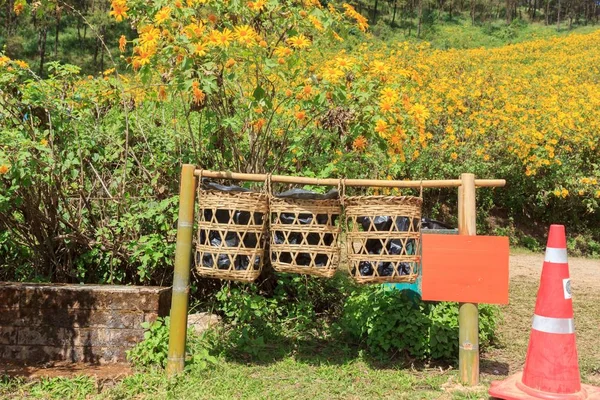 Déchets Dans Les Attractions Touristiques — Photo