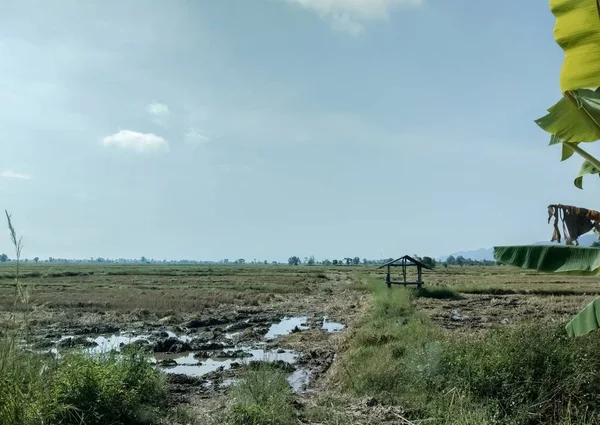 Cabaña Medio Campo — Foto de Stock