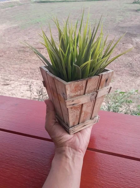 Hombres Sosteniendo Árboles Miniatura Maceta — Foto de Stock