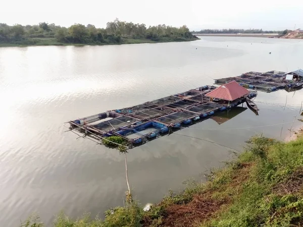 Pisciculture Cage Dans Rivière — Photo