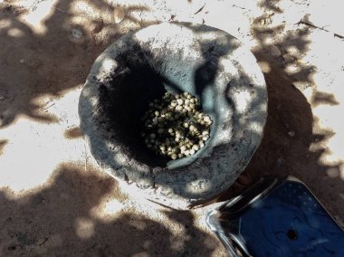 Kumaş boyama için kavanozda Meyve