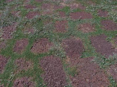 Geçit laterit taşından yapılmıştır..