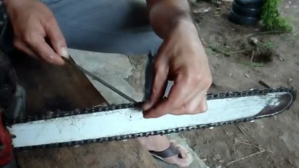 Carpinteiro Estava Afiando Serras Cortando Madeira — Vídeo de Stock