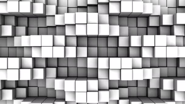 Boîtes Forme Wave Motion Abstraite Boucle Rendu Résolution — Video