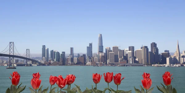 Skyline San Francisco Avec Des Tulipes Rouges Sur Devant — Photo