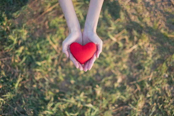 Duas Mãos Segurando Coração Vermelho Com Fundo Grama Verde Conceito — Fotografia de Stock