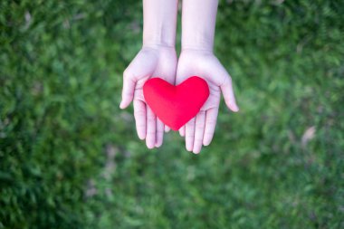 Kırmızı kalp yeşil çim arka plan ile holding iki eller. Kavram vermek aşk.