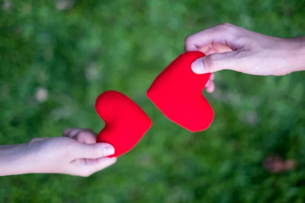 Hand women send red heart and hand men send red heart for Exchange hearts, Double heart, grass Background.