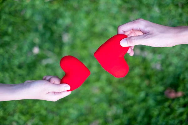 Hand women send red heart and hand men send red heart for Exchange hearts, Double heart, grass Background.